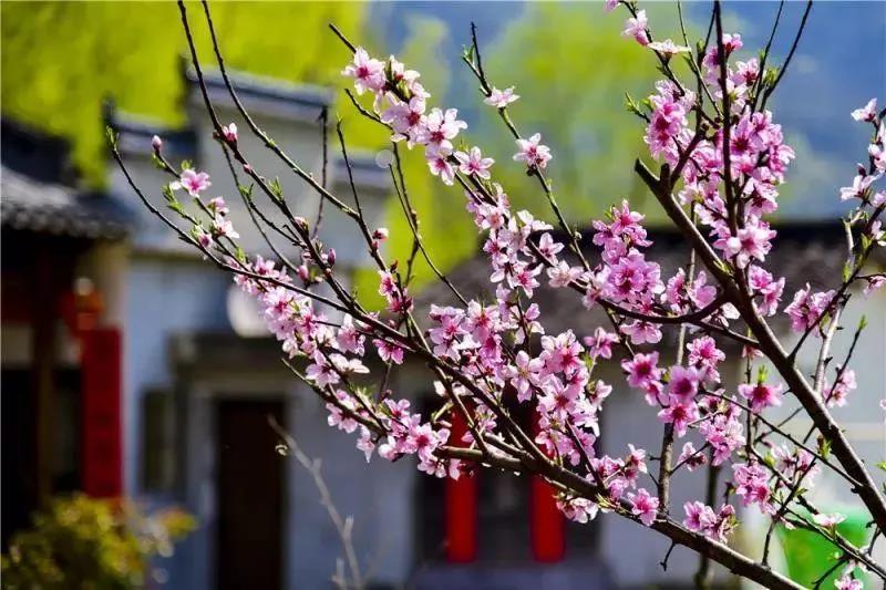 利博游戏官网(中国游)有限公司官网