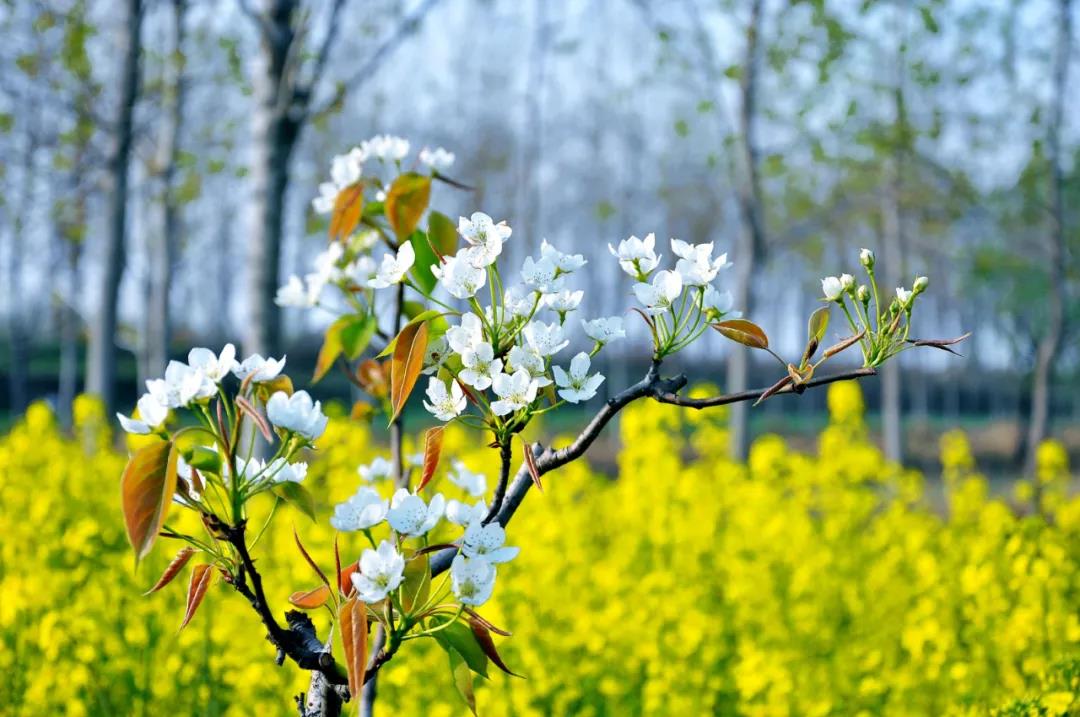 利博游戏官网精机