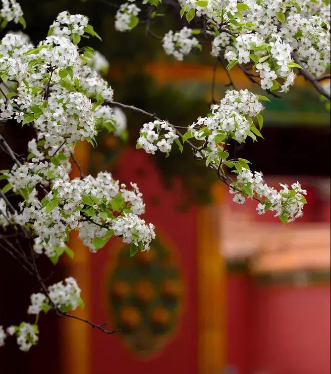 利博游戏官网(中国游)有限公司官网