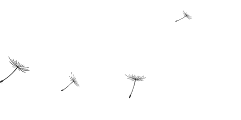 利博游戏官网(中国游)有限公司官网
