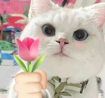 利博游戏官网(中国游)有限公司官网